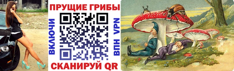 Галлюциногенные грибы Cubensis  продажа наркотиков  мега tor  Усинск 